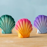 PRE-ORDER Seashell Bundle *Allow 3-6 weeks for delivery*