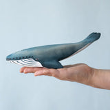 PRE-ORDER Blue Whale Set *Allow 3-6 weeks to deliver*