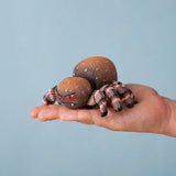 PRE-ORDER Spider and Cobweb