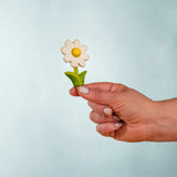 Pre-Order Festive Flowers *Allow 4-6 Weeks for delivery*