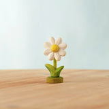 Pre-Order Festive Flowers *Allow 4-6 Weeks for delivery*