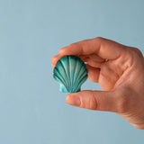 PRE-ORDER Seashell Bundle *Allow 3-6 weeks for delivery*