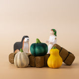 PRE-ORDER Pumpkin Patch Set