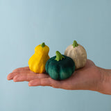 PRE-ORDER Pumpkin Patch Set