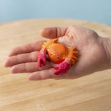 PRE-ORDER Crab *Allow 3-6 weeks for delivery*