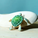 PRE-ORDER Green Sea Turtles *Allow 3-6 weeks to deliver*